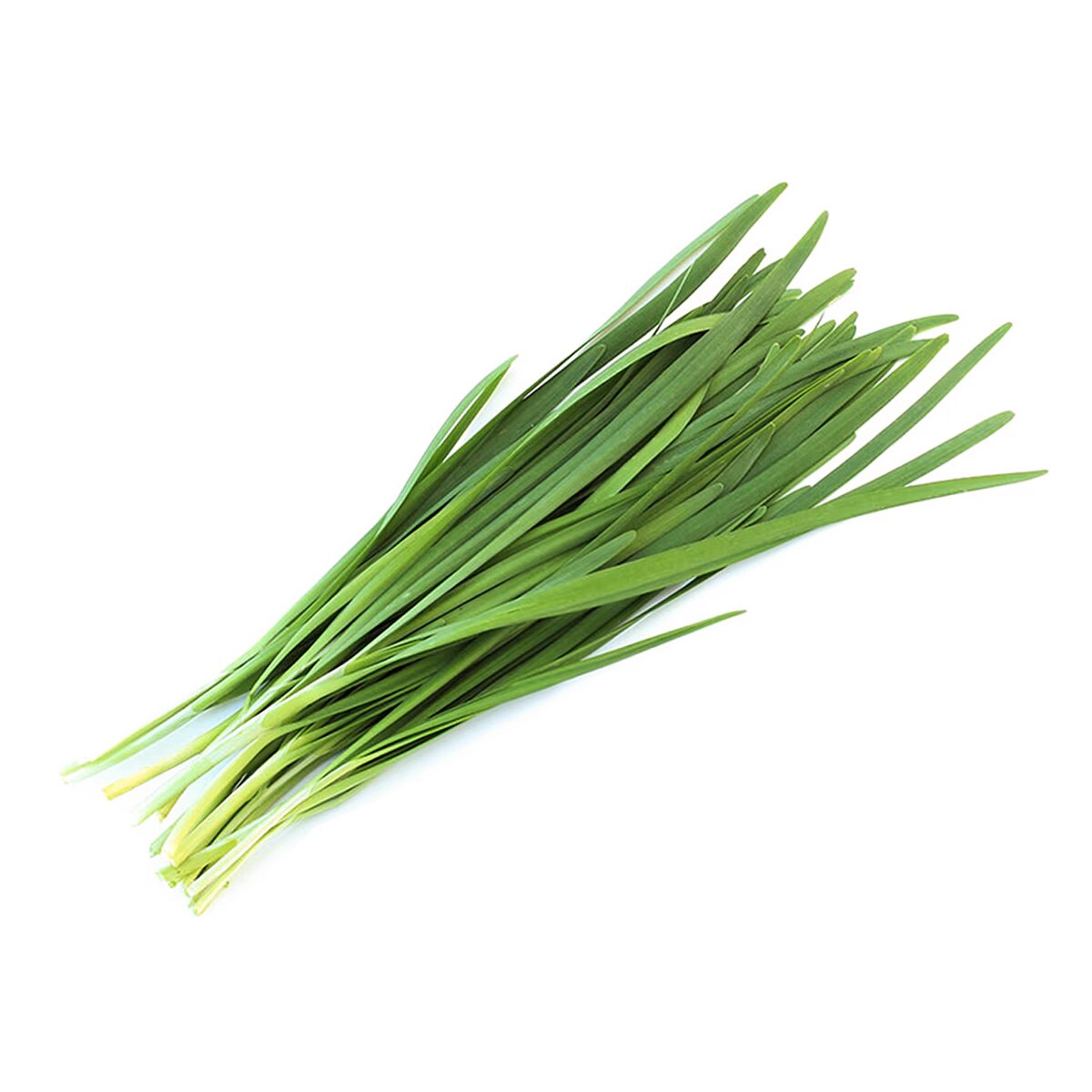 Chive (~1lb) | T&T Supermarket US