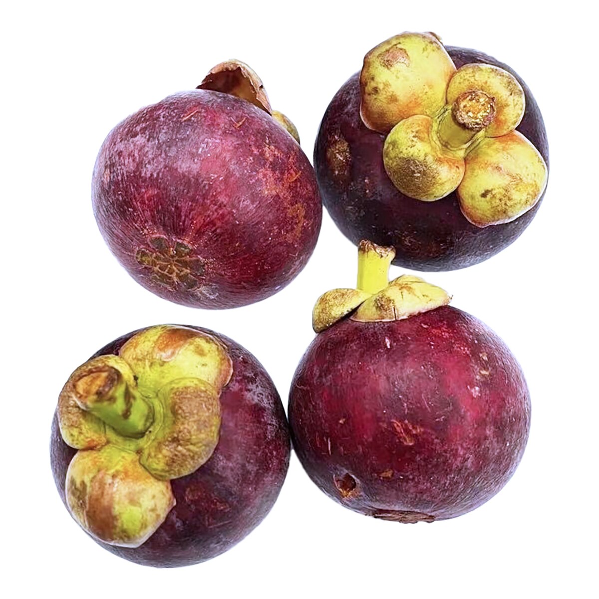 Mangosteen (~2.2lb)