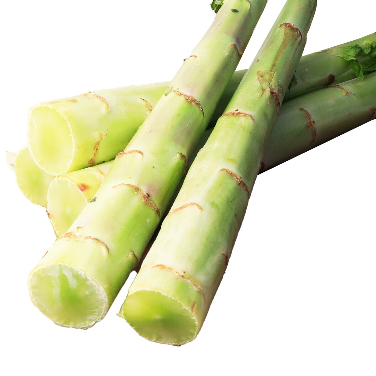 萵苣筍(~2lb) | T&T Supermarket US