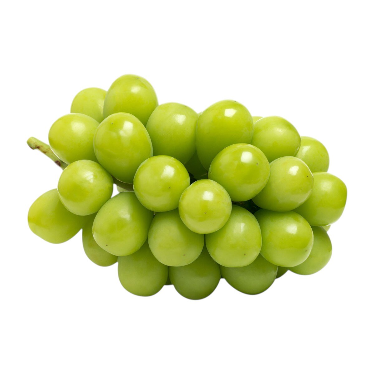 葡萄 韩国晴王葡萄(1.1~1.3lb) | T&T Supermarket US