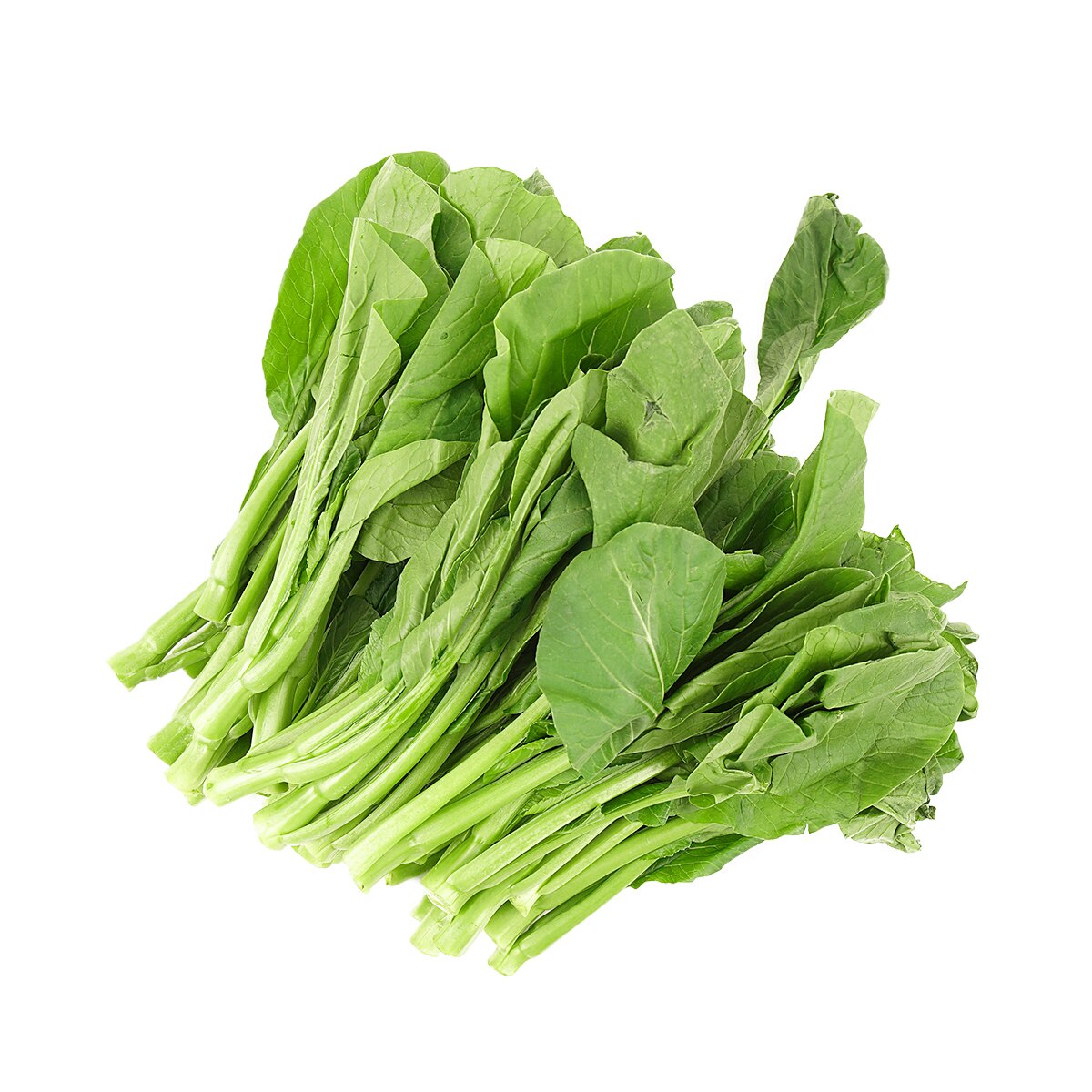 Yu Choy Jr. (~2lb) | T&T Supermarket US