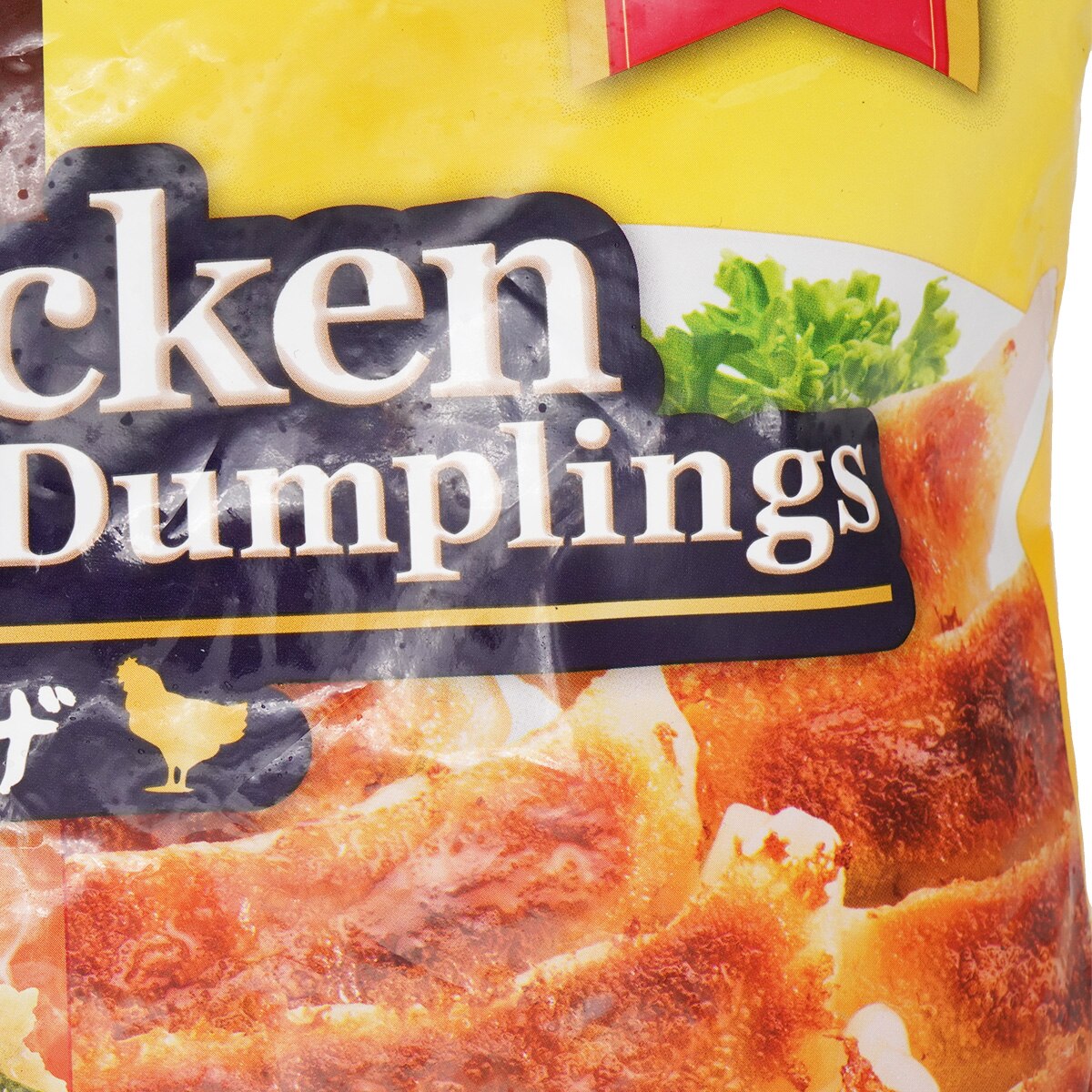 Ajinomoto Chicken Gyoza Dumplings Family Pack (24.7oz) | T&T