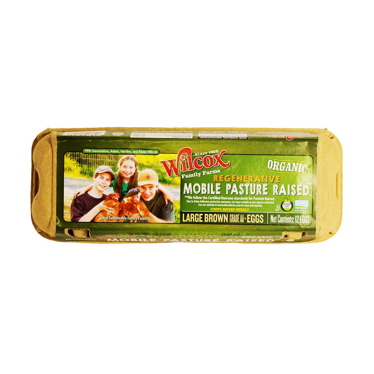 agg（エッグ）全32冊 Wilcox Organic Pasture Raised Large AA Brown Eggs (12ct) | T&T