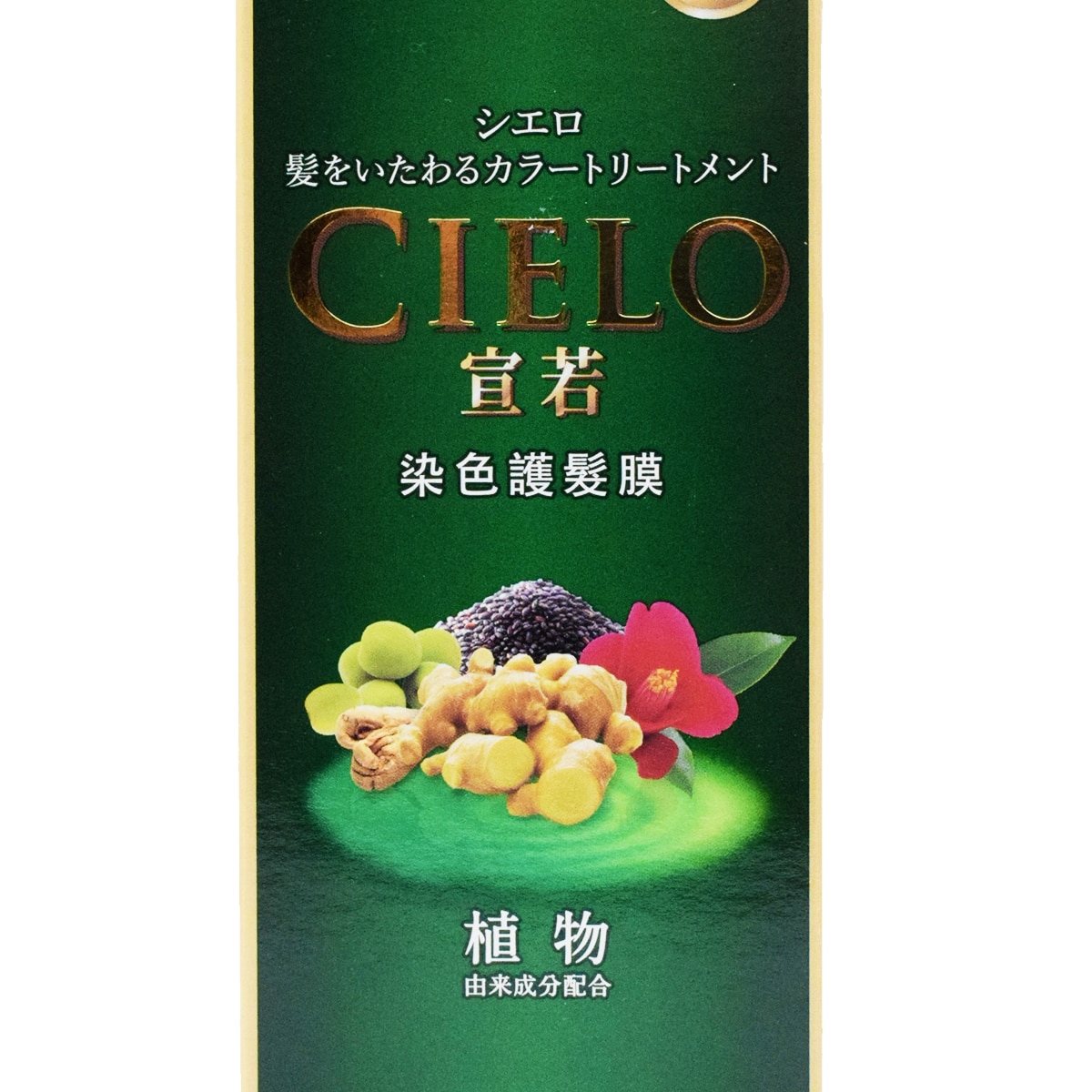 Hoyu Cielo Hair Color Treatment Gray Coverage Hair Mask Dark Olive