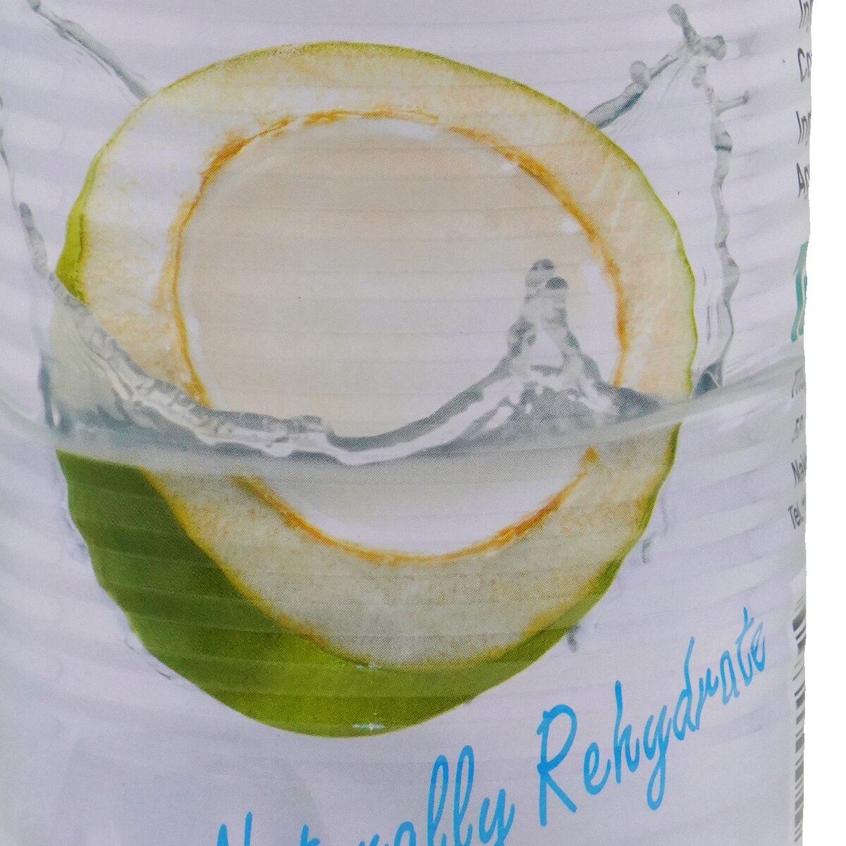 秋菊椰子水(17.6fl.oz) | T&T Supermarket US